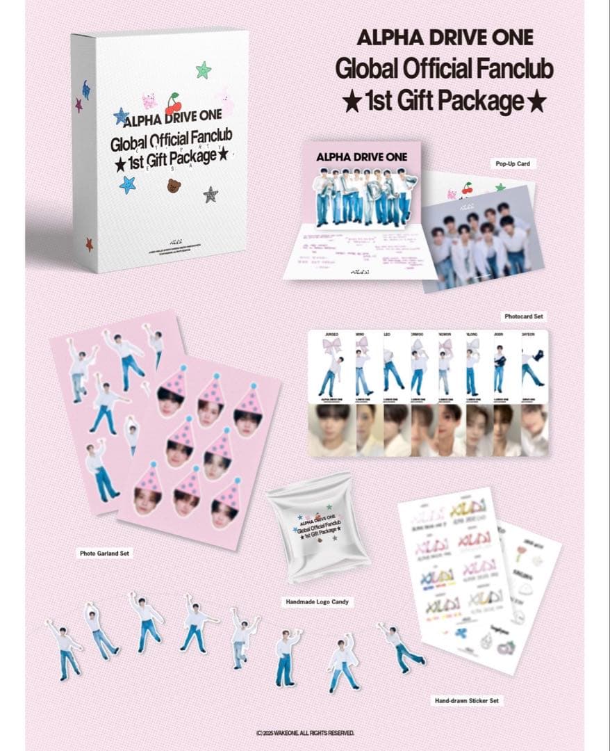 ALPHA DRIVE ONE ald1 ゴヌ - メルカリ