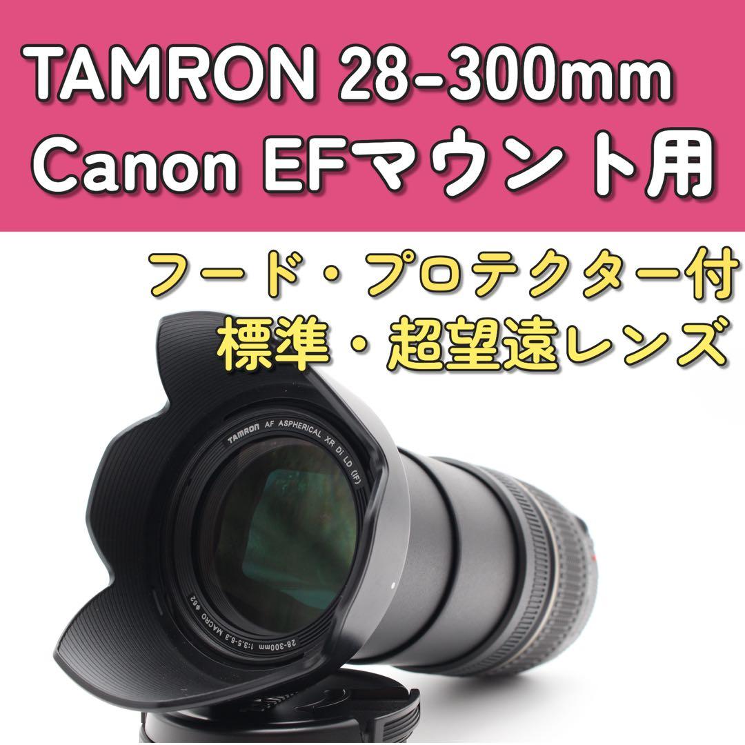 1本持っておきたい万能レンズ✨TAMRON 28-300mm コンパクト