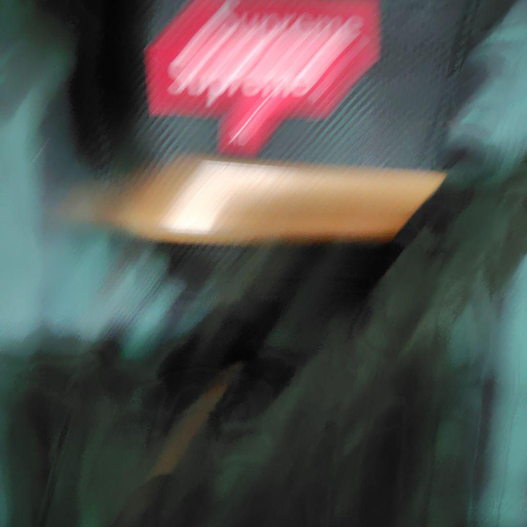 Supreme グリーン・ブラックチェック ナイロンジャケット - メルカリ