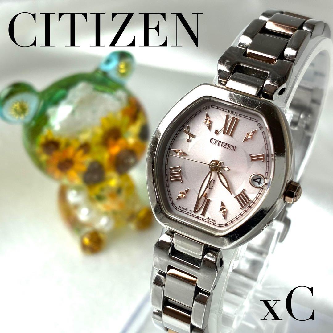 ミヤマツヤハダクワガタ ♂20.8〜20.9㎜ペア 標本