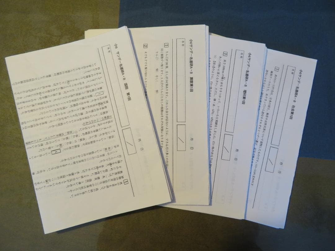 小6 サンデー名進研 2024年度 第1回から第6回 中学受験 名進研 - メルカリ