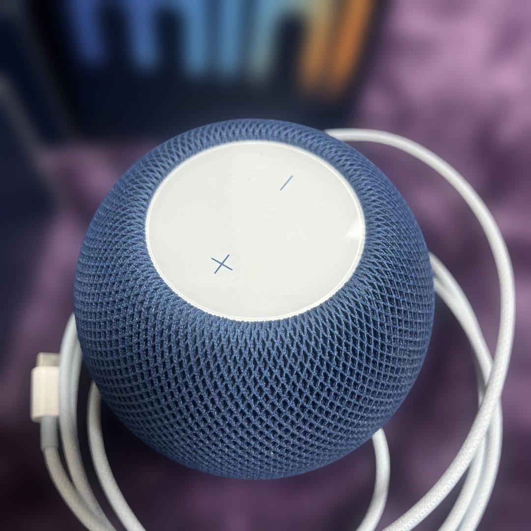 本日限定】Apple HomePod mini 2個セット ブルー 美品