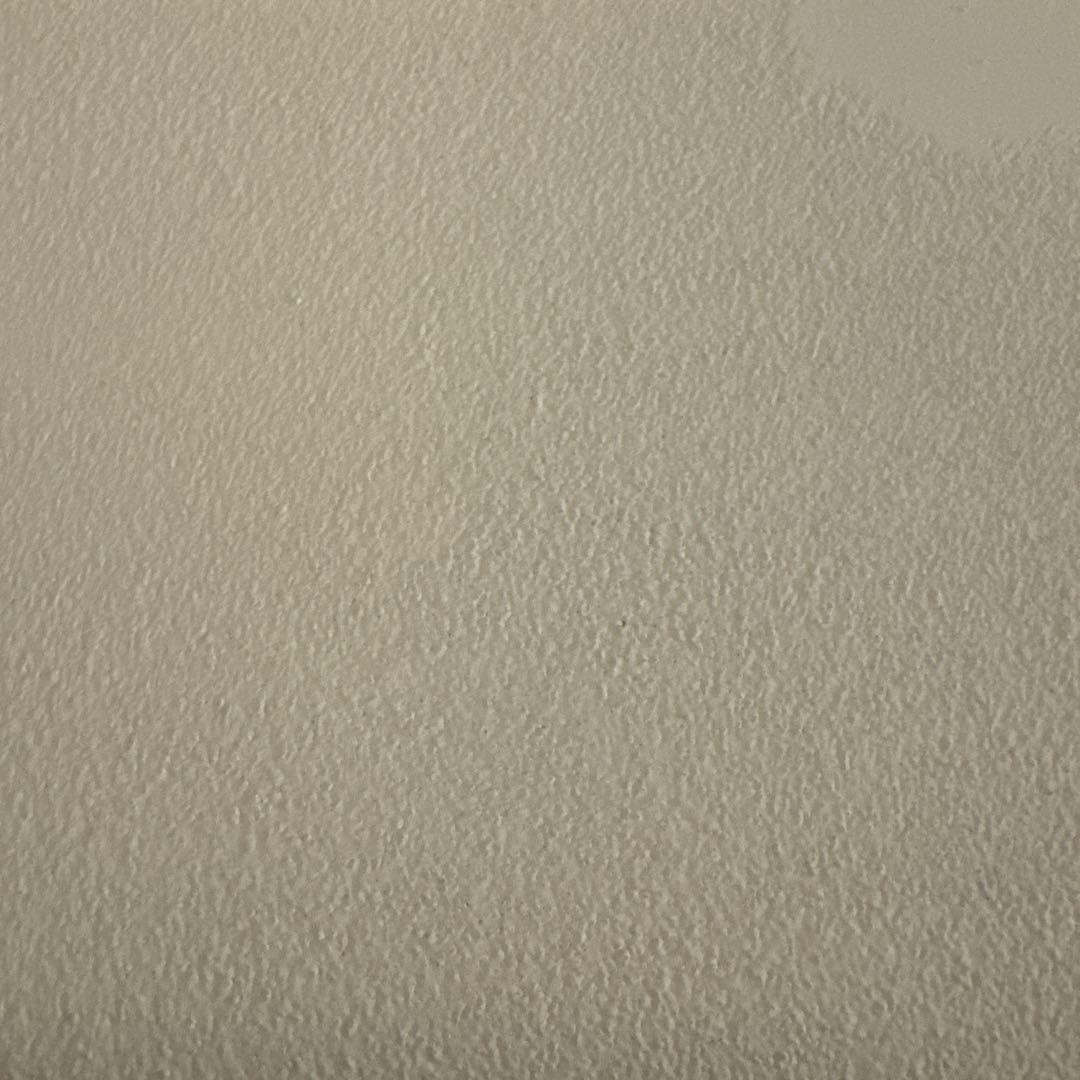 テント・タープ evergreenmusic 雪峰祭2022春】タープエクステンションテント4アイボリー初張り - YouTube