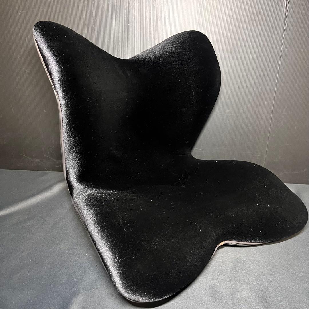 Style premium DX スタイル プレミアム デラックス ブラック