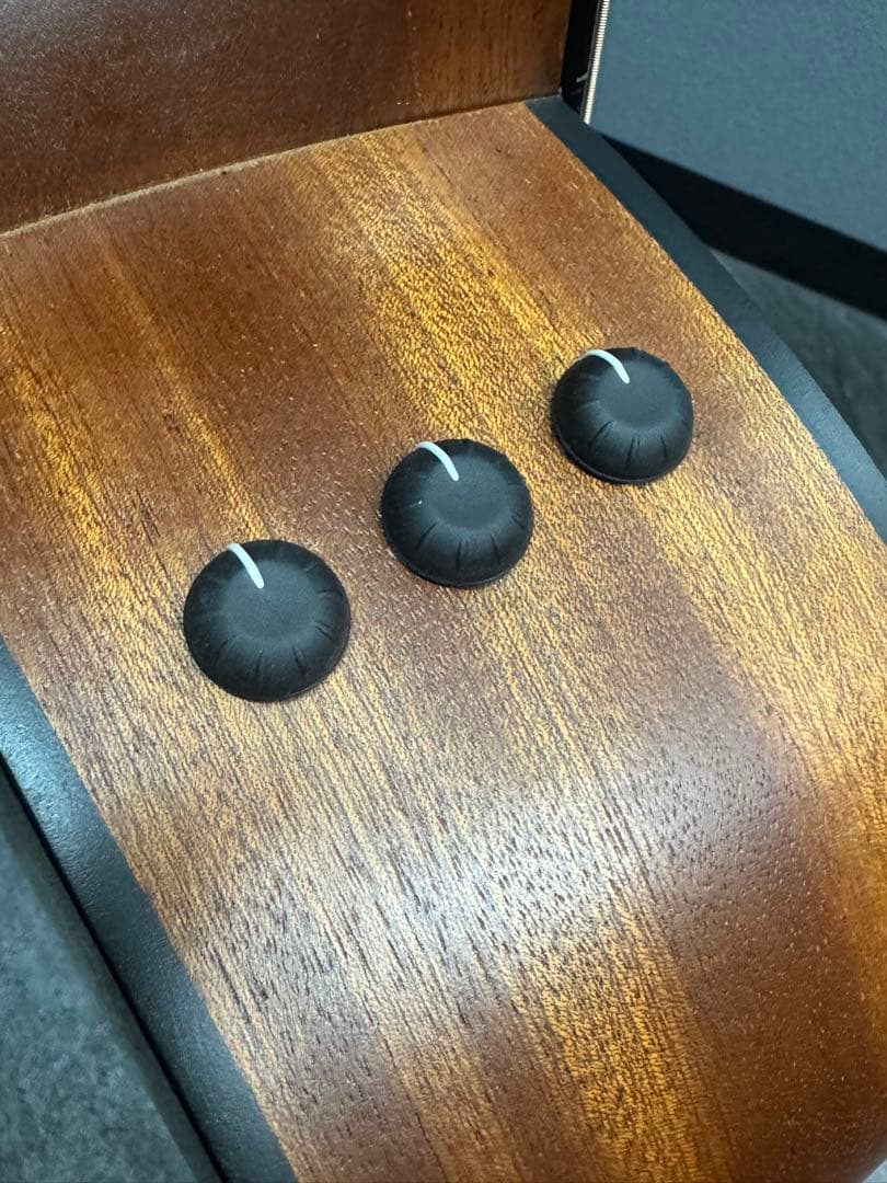 ノン様 Taylor 114e ES2 (エレアコ) 美品 ※純正ハードケース付 - メルカリ