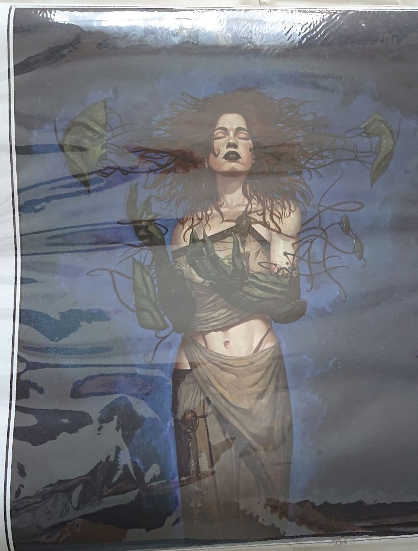 mtg アートプリント 複製原画 暴露 - マジック：ザ・ギャザリング最