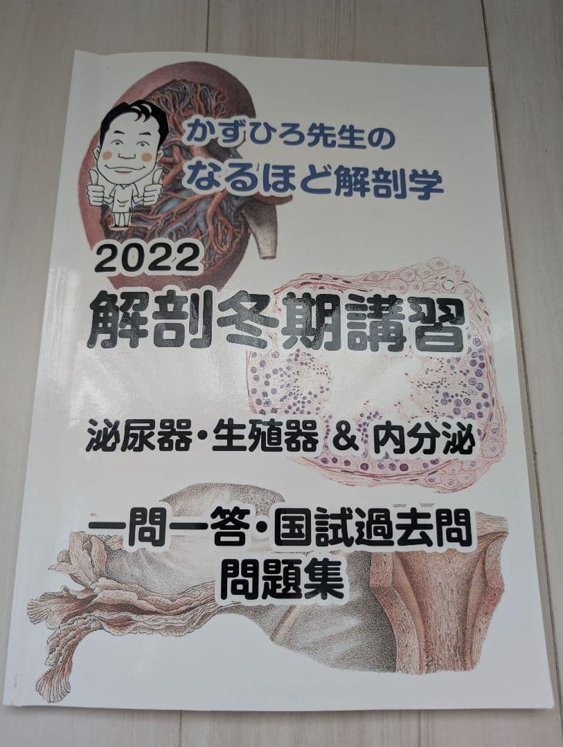 2024年度 第4回ジャパン模試 解答・解説集 - メルカリ
