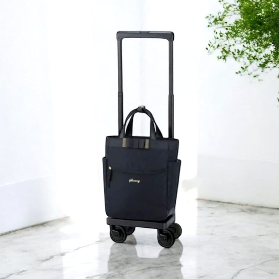 ✨美品✨SWANY スワニー　ルバンドIII　キャスターストッパー付　ブラック SWANY（スワニー） キャリーバッグ ルバンドIII ルバンド3 M18 Mサイズ