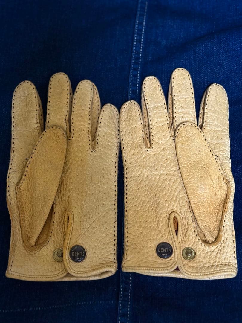 DENTS ペッカリー アンライニング デンツ 7H ボーイズマーケット