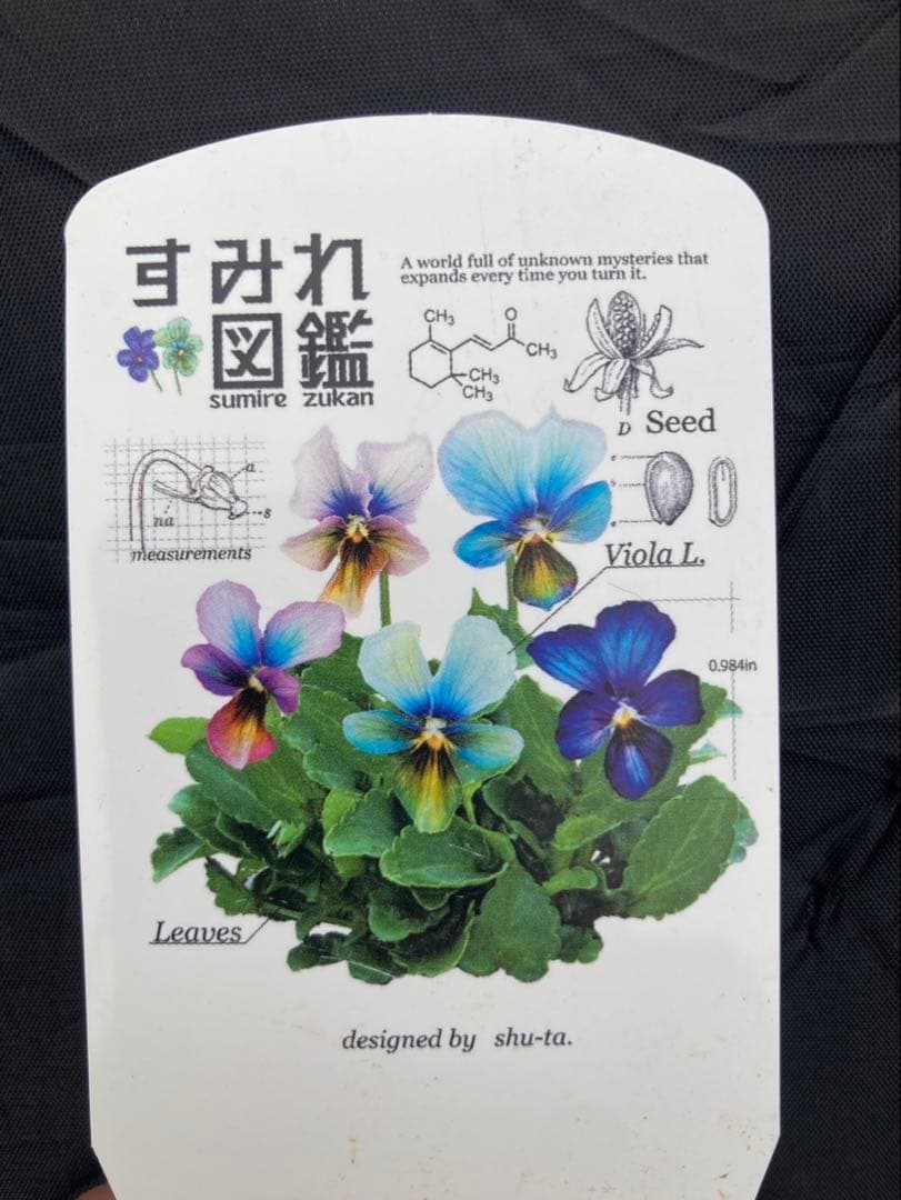 M*I様 すみれ図鑑　ビオラ　濃緑青　SA すみれ図鑑 ビオラ 青色系 1苗 - メルカリ