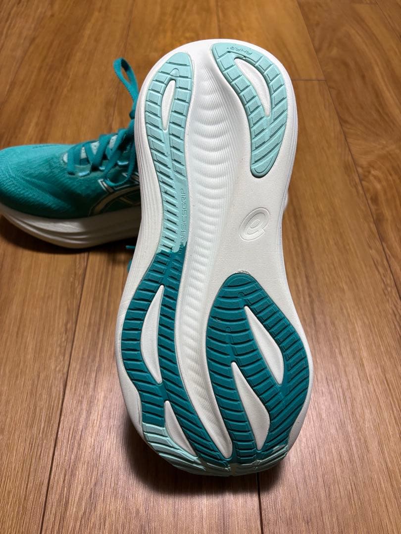 超美品　ASICS GEL-NIMBUS 27 25.0cm レディース