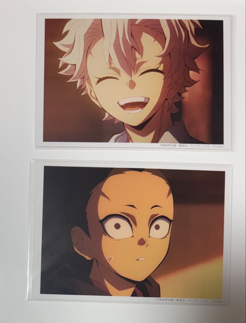 鬼滅の刃 ufotable ブロマイド 実弥 玄弥 不死川兄弟 幼少期 - メルカリ