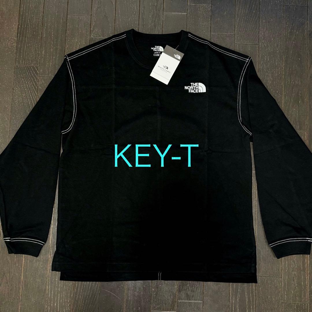 新品 THE NORTH FACE ロゴ刺繍 ステッチ 長袖 ロンT Lサイズ