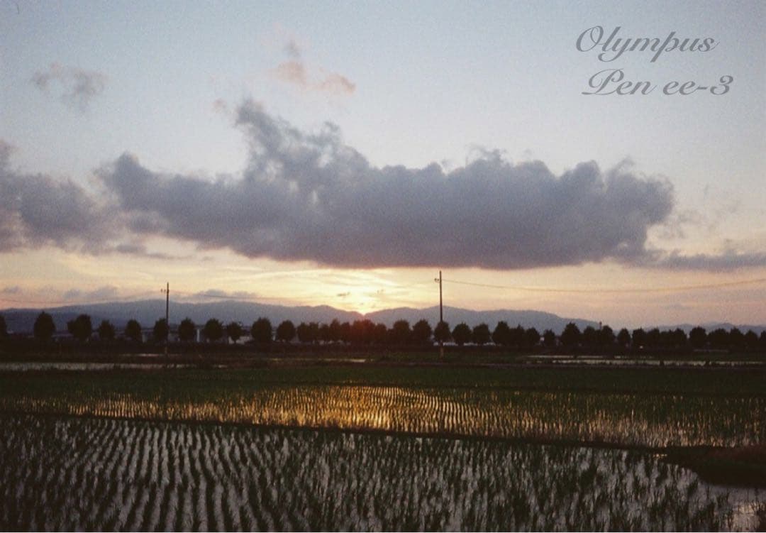 ★作例多数！★olympus pen ee3★完動・美品・赤ベロOK★入門に！