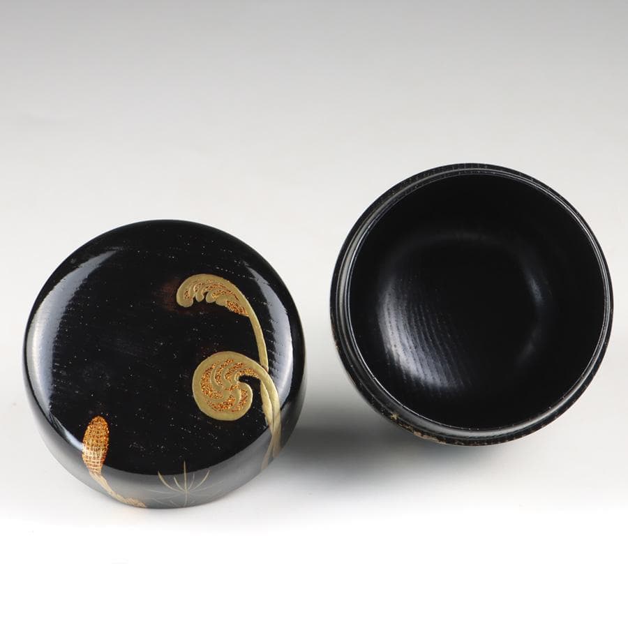 Y2888-8 茶道具 山上幸舟 金蒔絵「蕨に土筆」中棗 共箱 ＃13 - メルカリ