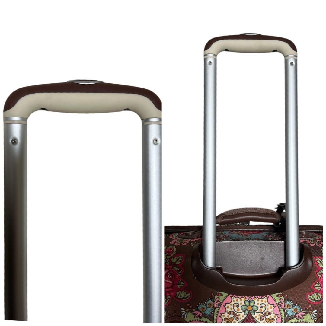 APIS HuLa Lea 様 専用 Oilily carry case 美品✨ - メルカリ