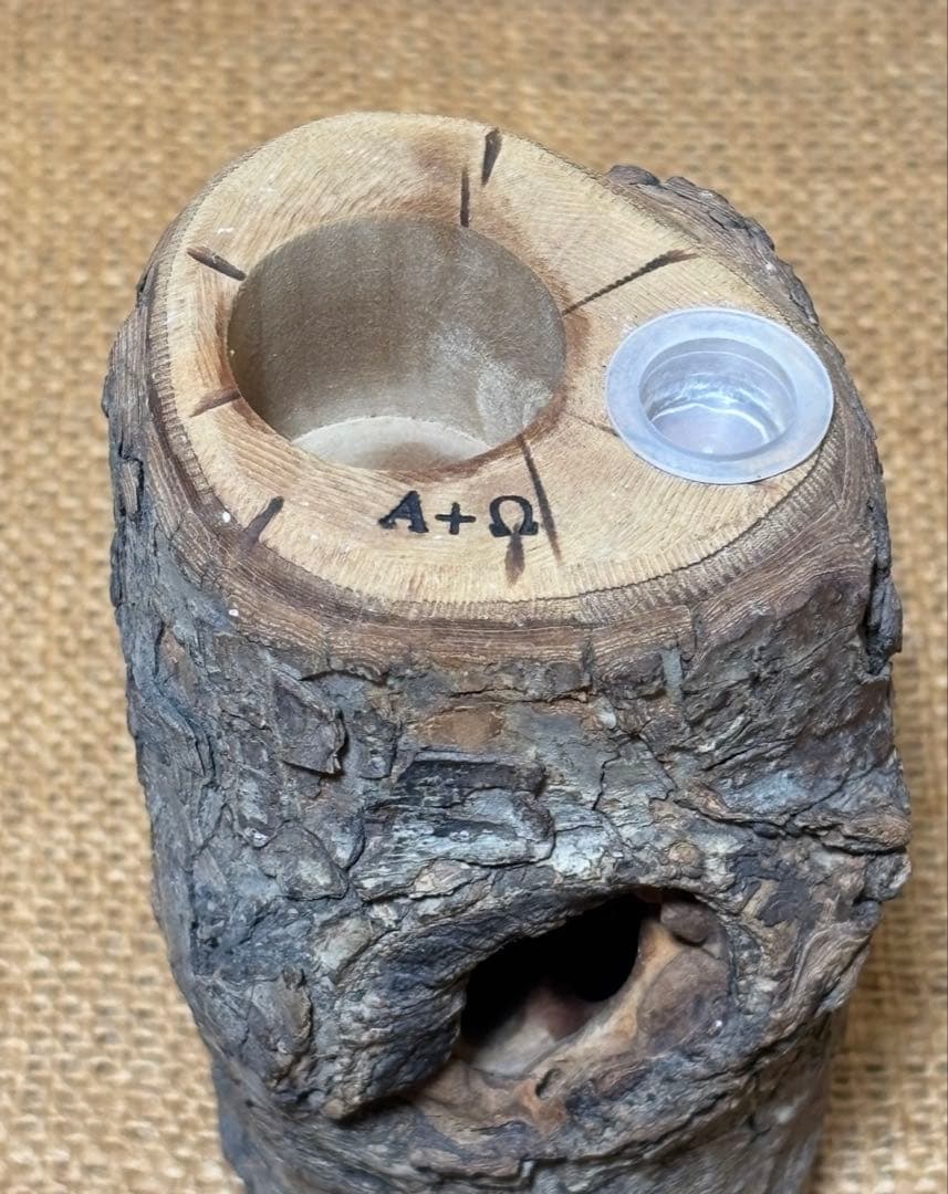 三本木 森兵衛☆希少入手困難A+Ωクラフトウッド（クワリウム）クワガタ