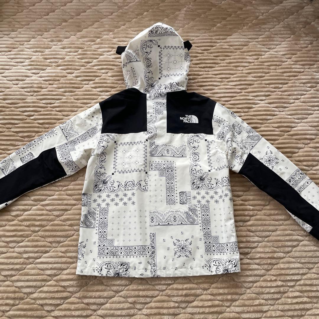 韓国限定 ノースフェイス マウンテンジャケット ゴアテックス