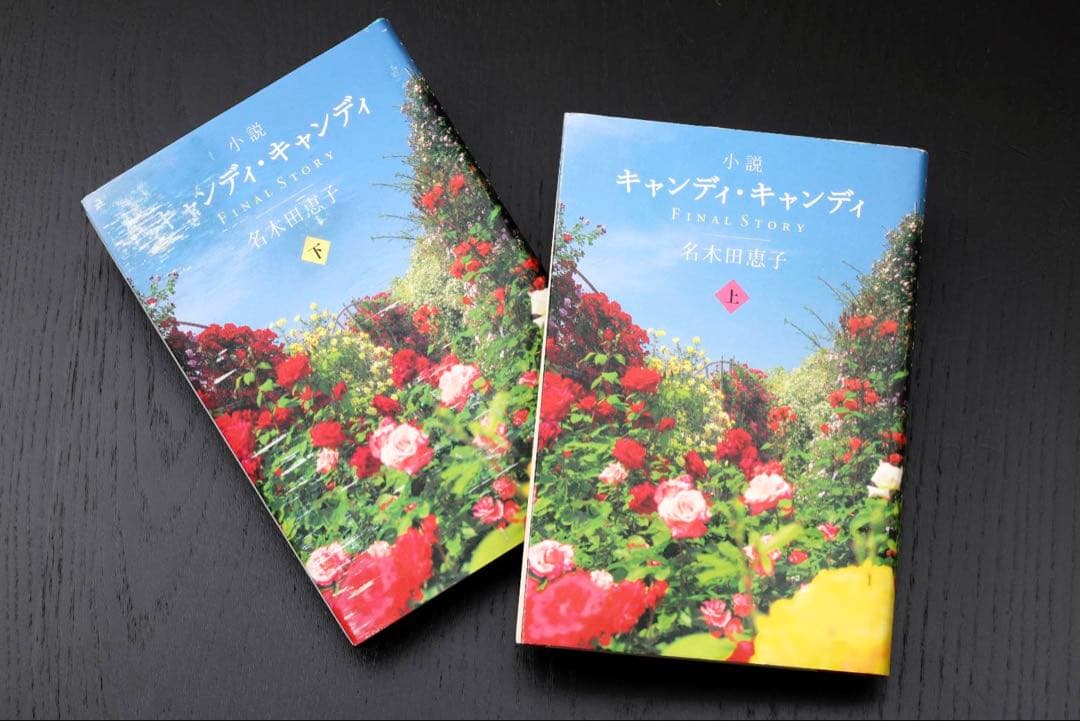 初版 絶版 中古 キャンディ・キャンディ FINAL STORY 上巻下巻セット