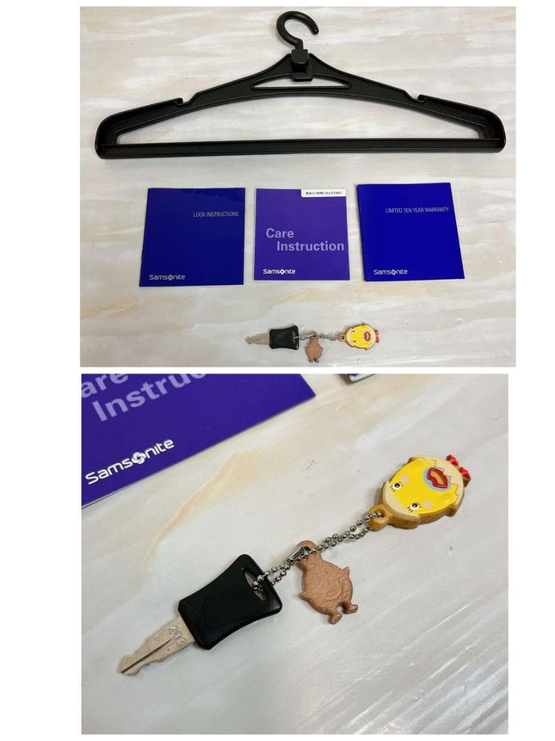 Samsonite サムソナイト スーツケース Pallone パローネ 69L - メルカリ