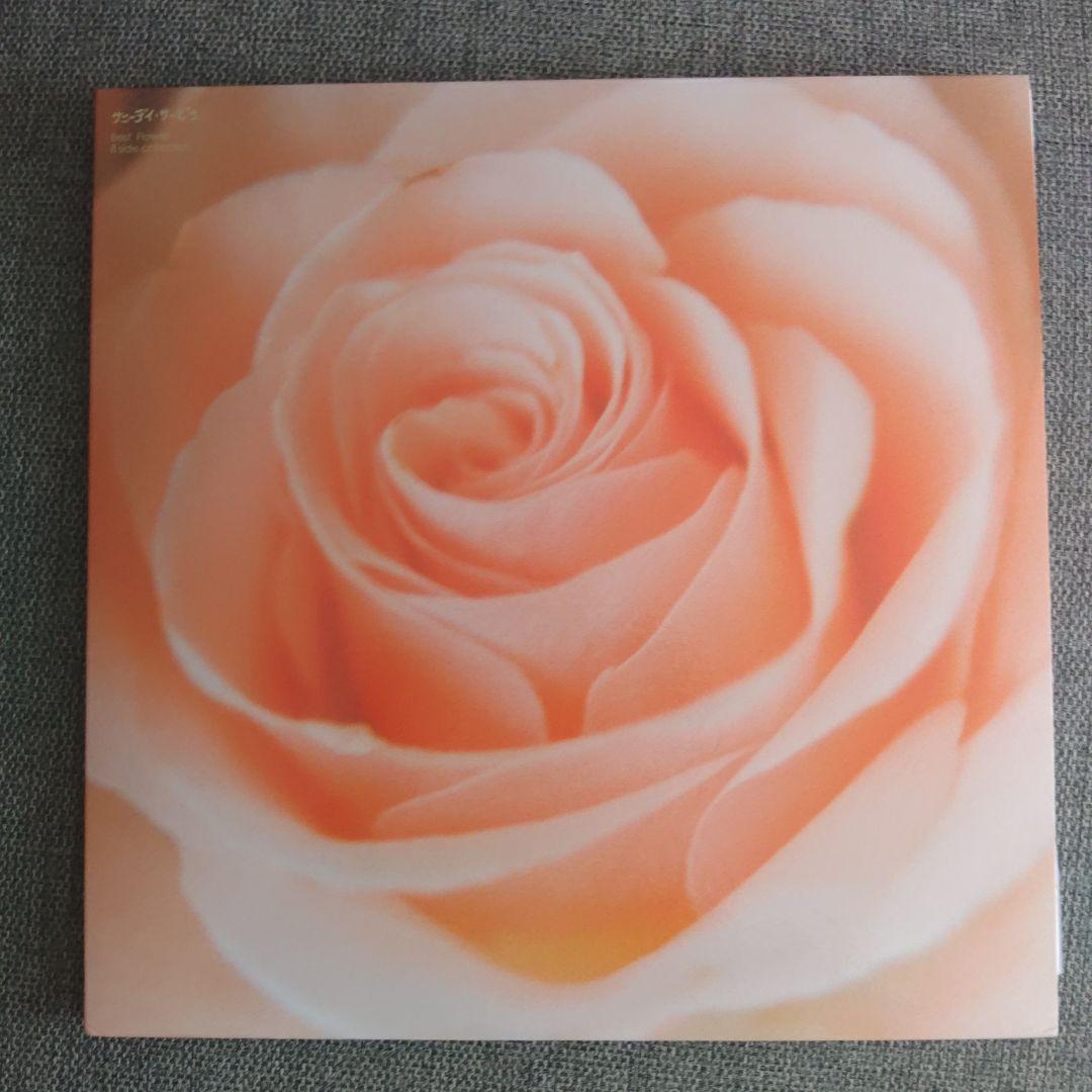 サニーデイサービスレコードBestFIower