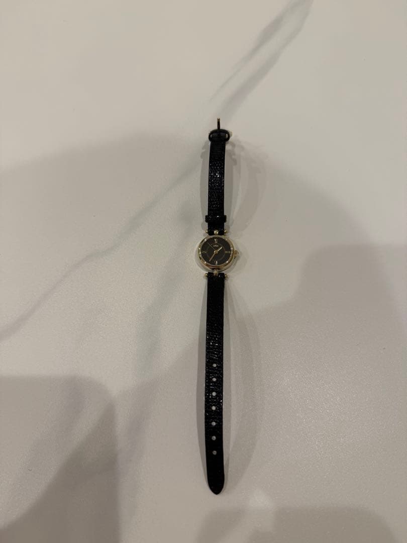 ete ダイヤモンド サークルフェイス ウォッチ（ブラック リザードベルト）