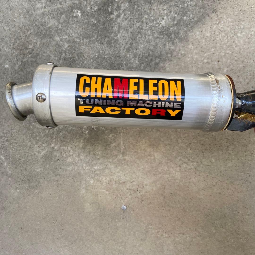 カメレオンファクトリー パラライザー3 ライブDIO ZX用 - メルカリ