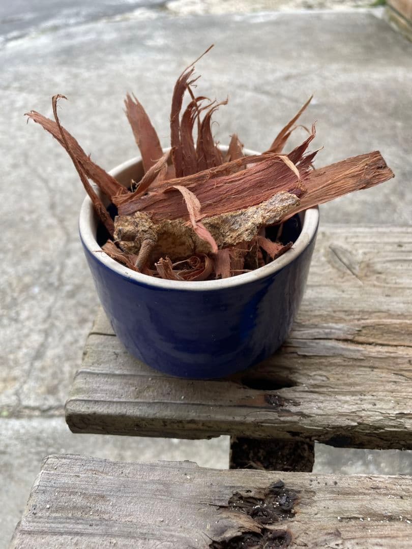 アカシア Acacia ソウシジュ 相思樹 根皮100％ 50g - メルカリ