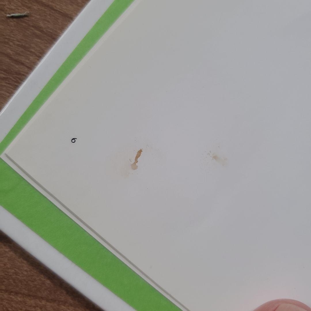 0歳～ 絵本セット 41冊！ sassy もいもい ノンタン もうぬげない 等