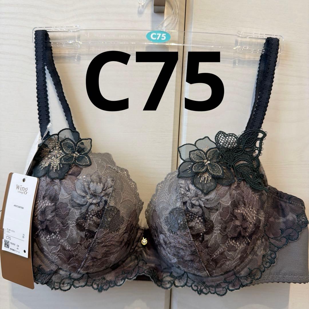 Wing/Wacoal ウイング/ワコール レシアージュ ブラジャー - メルカリ