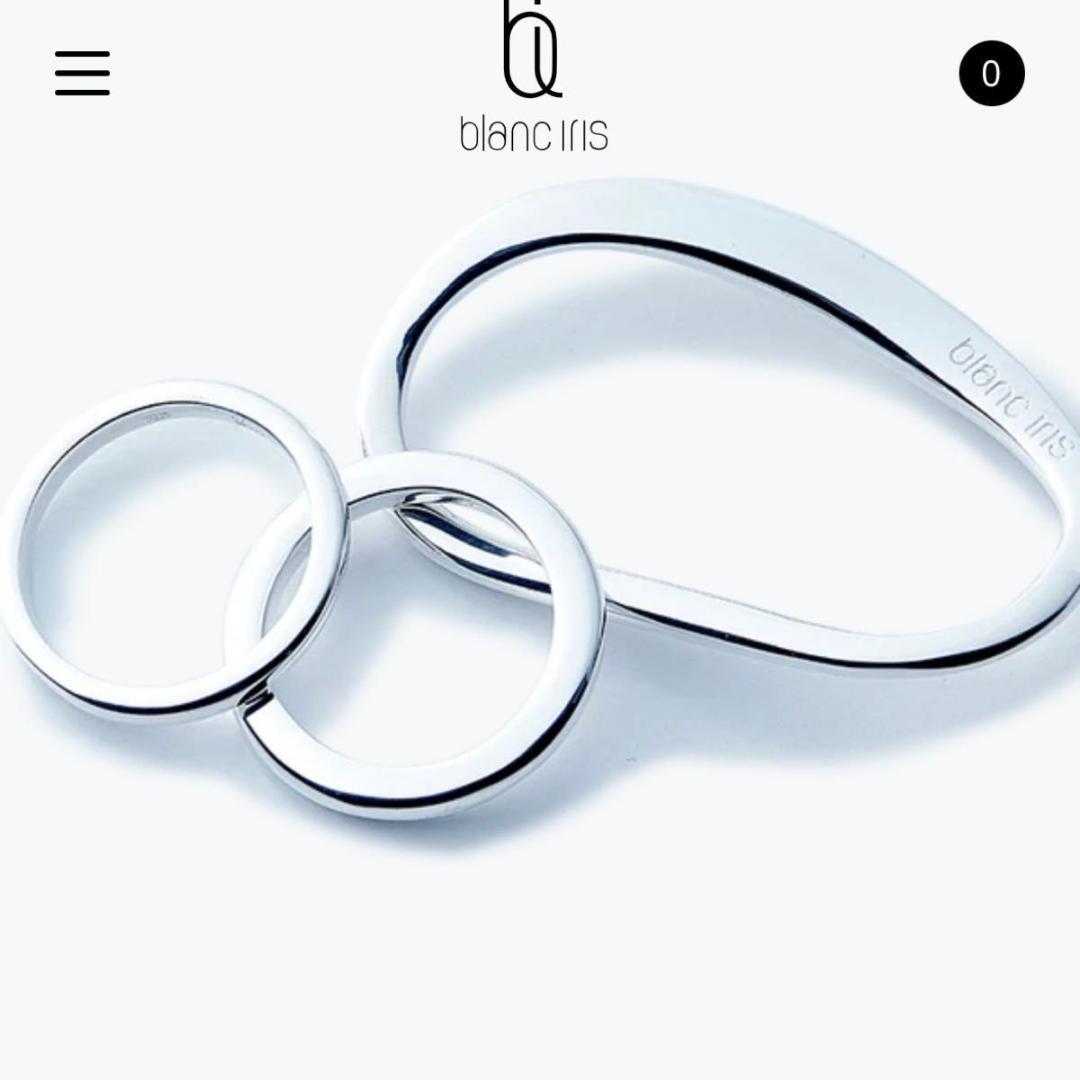 Evolution ring エボリューション ブランイリス リング - メルカリ