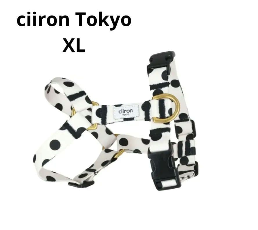 SESSION. × CAMP HOLIC / SK8 DECK スケボーデッキ