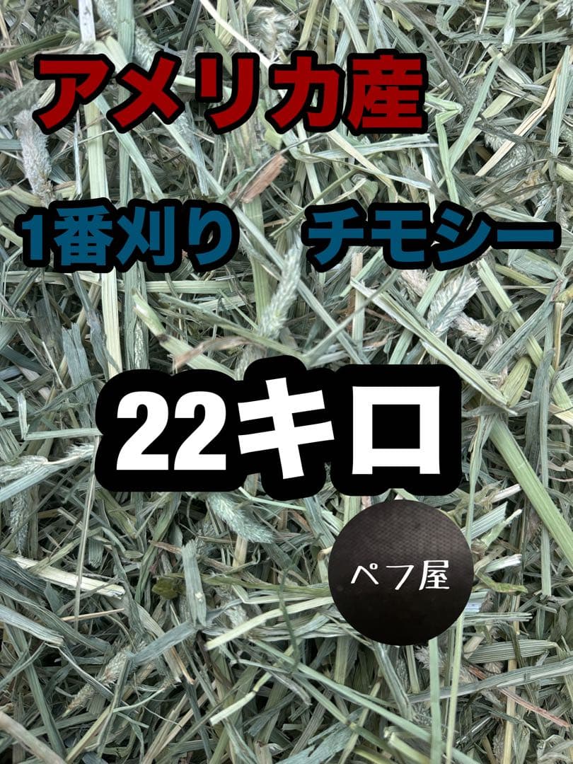 ごろう」チモシー　22キロ　ヘイキューブ6キロ GEX 小動物の牧草健康チモシー 900g（4972547028310）｜その他ペット
