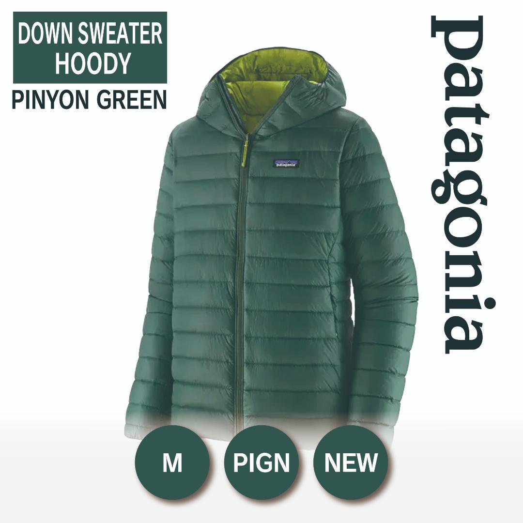 ジャケット・アウター 483 大きいサイズ メンズ THE NORTH FACE (ザ ノースフェイス) フード