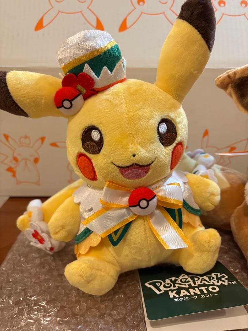 ポケパーク カントー ピカチュウ イーブイ 2体セット ぬいぐるみ