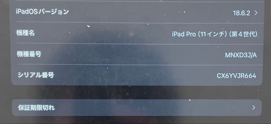 【早い者勝ち】iPad Pro11シルバー本体のみ第4世代　128GB