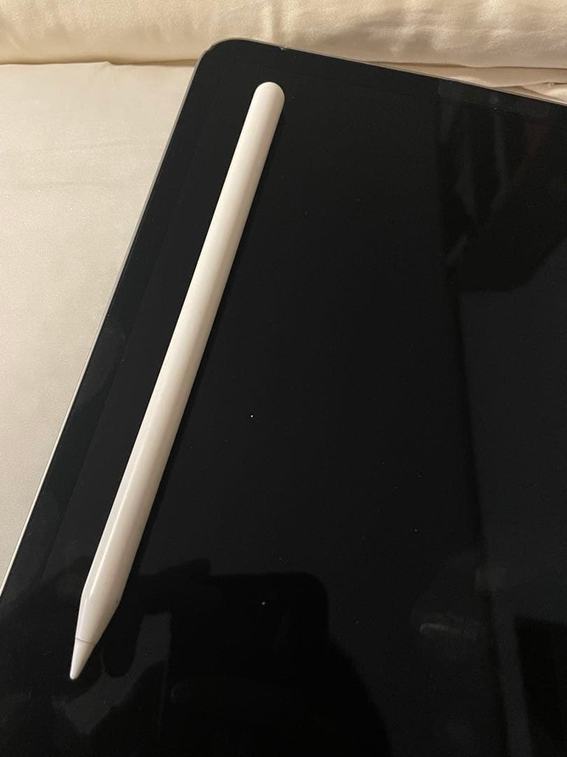 【早い者勝ち】iPad Pro11シルバー本体のみ第4世代　128GB