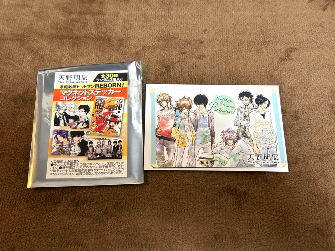 家庭教師ヒットマンREBORN マグネットステッカーコレクション 天野明展