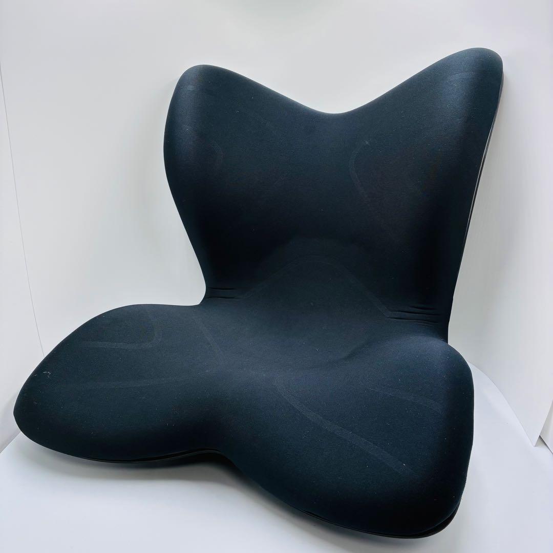 スタイルプレミアムデラックス Style PREMIUM 姿勢 猫背】スタイル プレミアム | Style PREMIUM | MTG ONLINESHOP