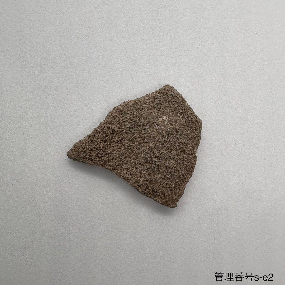 本物 恐竜の卵 サルタサウルス 化石 3.0cm パタゴニア - メルカリ