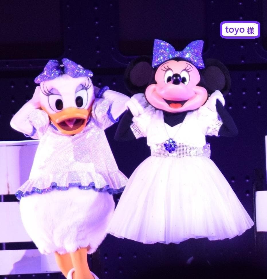 専用　ディズニーリゾート ポストカード　リゾートライン フリーきっぷ　近沢レース 2025年01月] 買いました！ディズニーリゾートライン「フリーきっぷ」2