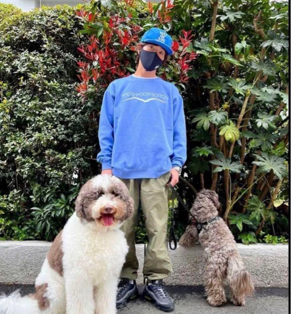 Supreme Warm Up Pant Olive 20ss キムタク着 - メルカリ