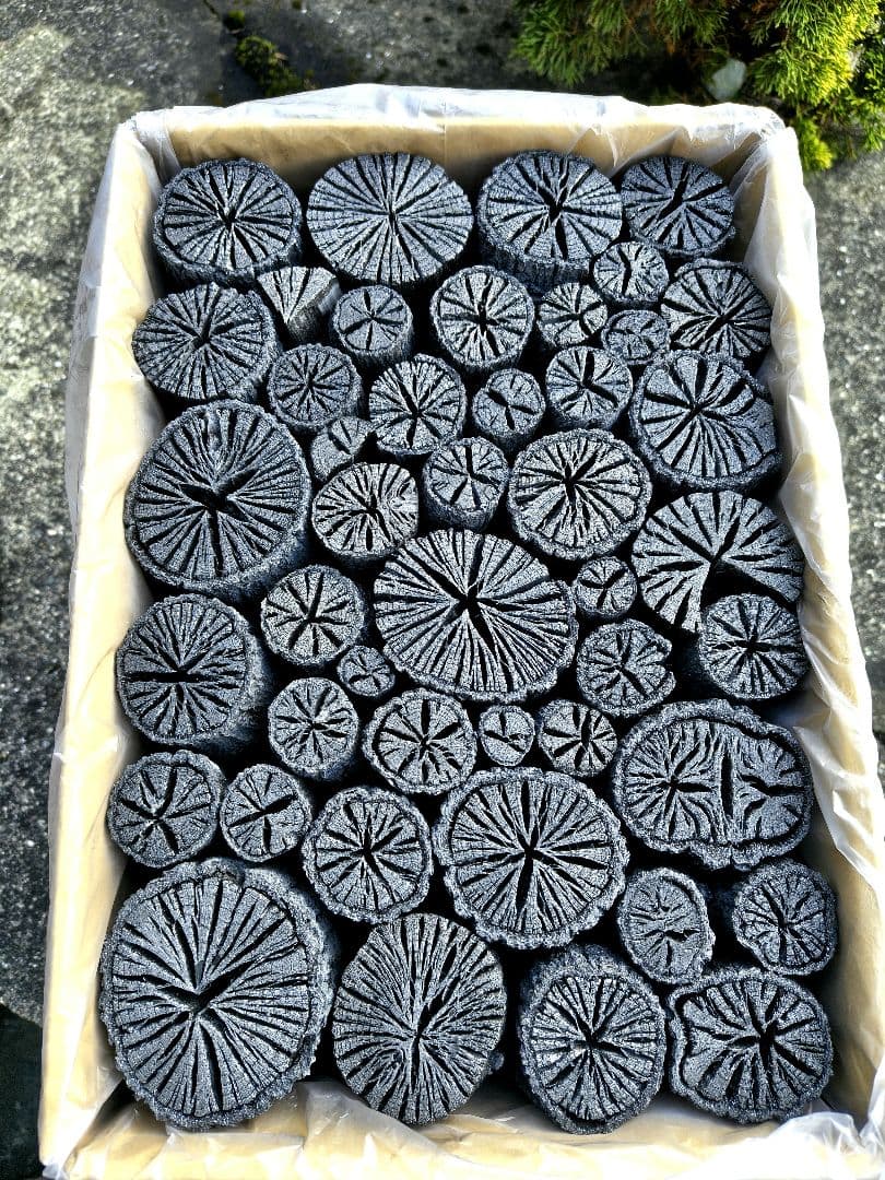 伊予の切炭 】約6kg クヌギ菊炭×2箱 【 伊予の切炭 】