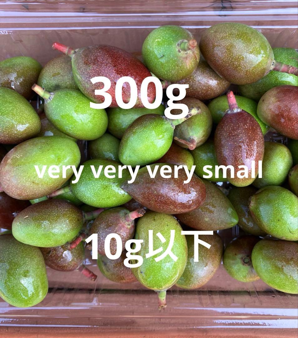 摘果マンゴー 宮崎県産 小さいサイズ very veryvery small - メルカリ