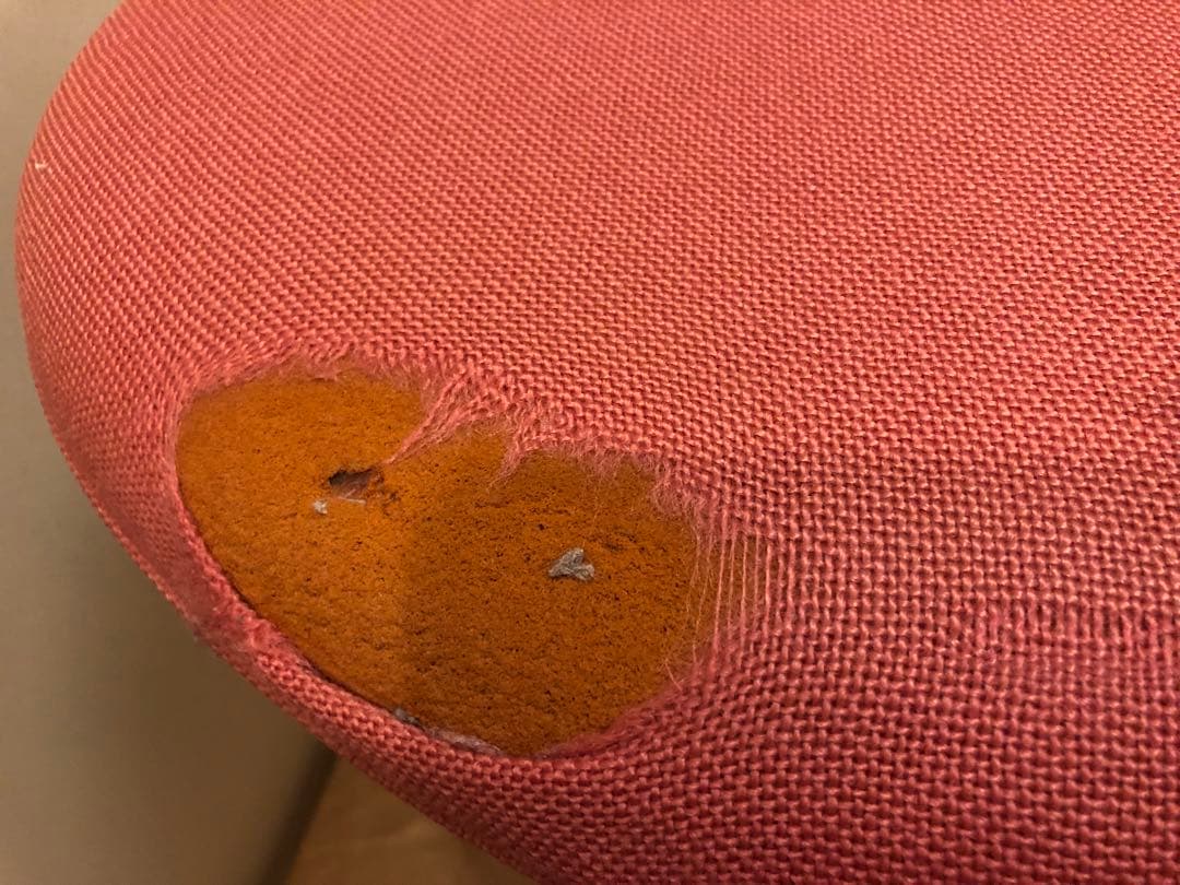 サカモトハウス バランスイージー　カバー付き