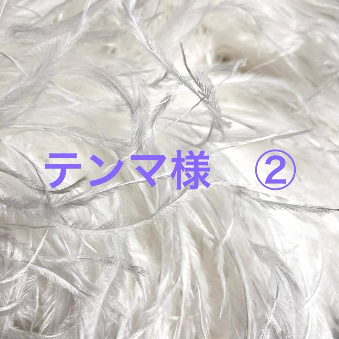 社交ダンス バングル フロート ドレス スタンダード ファー フェザー