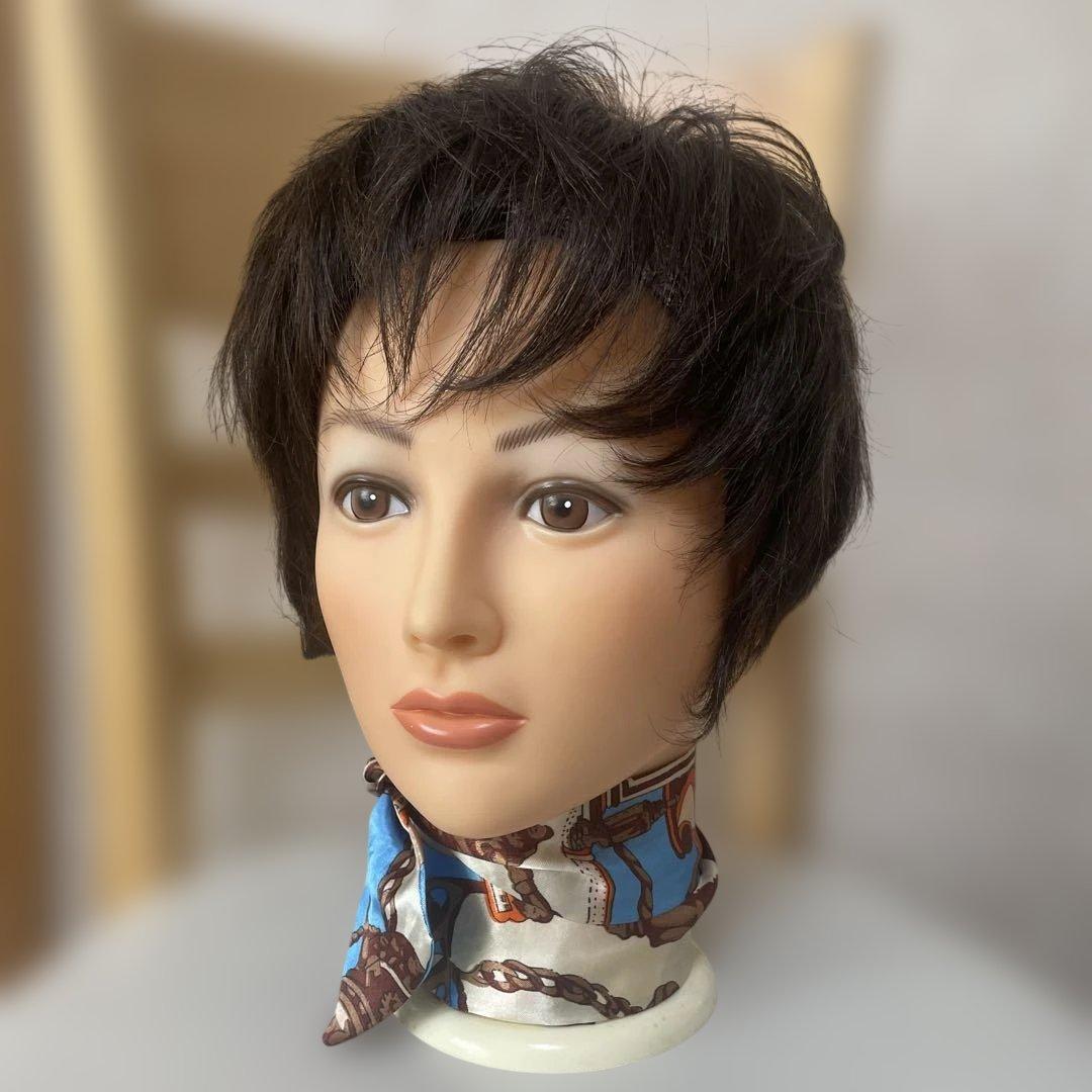 FONTINE フォンテーヌ ウィッグ ショートウィッグ - メルカリ