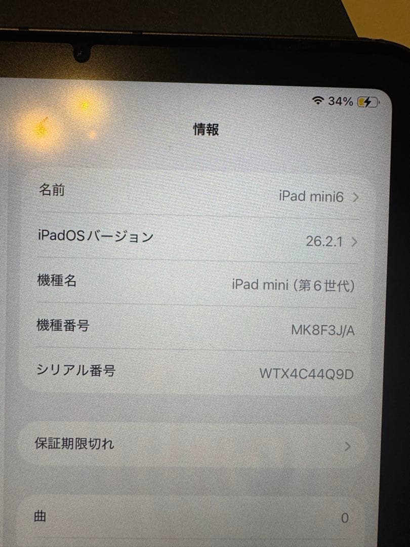 iPad mini 6 256GB セルラー