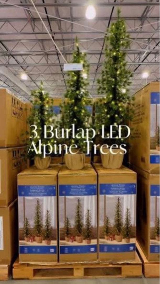 COSTCO】コストコ LED アルパインツリー 3点セット クリスマスツリー