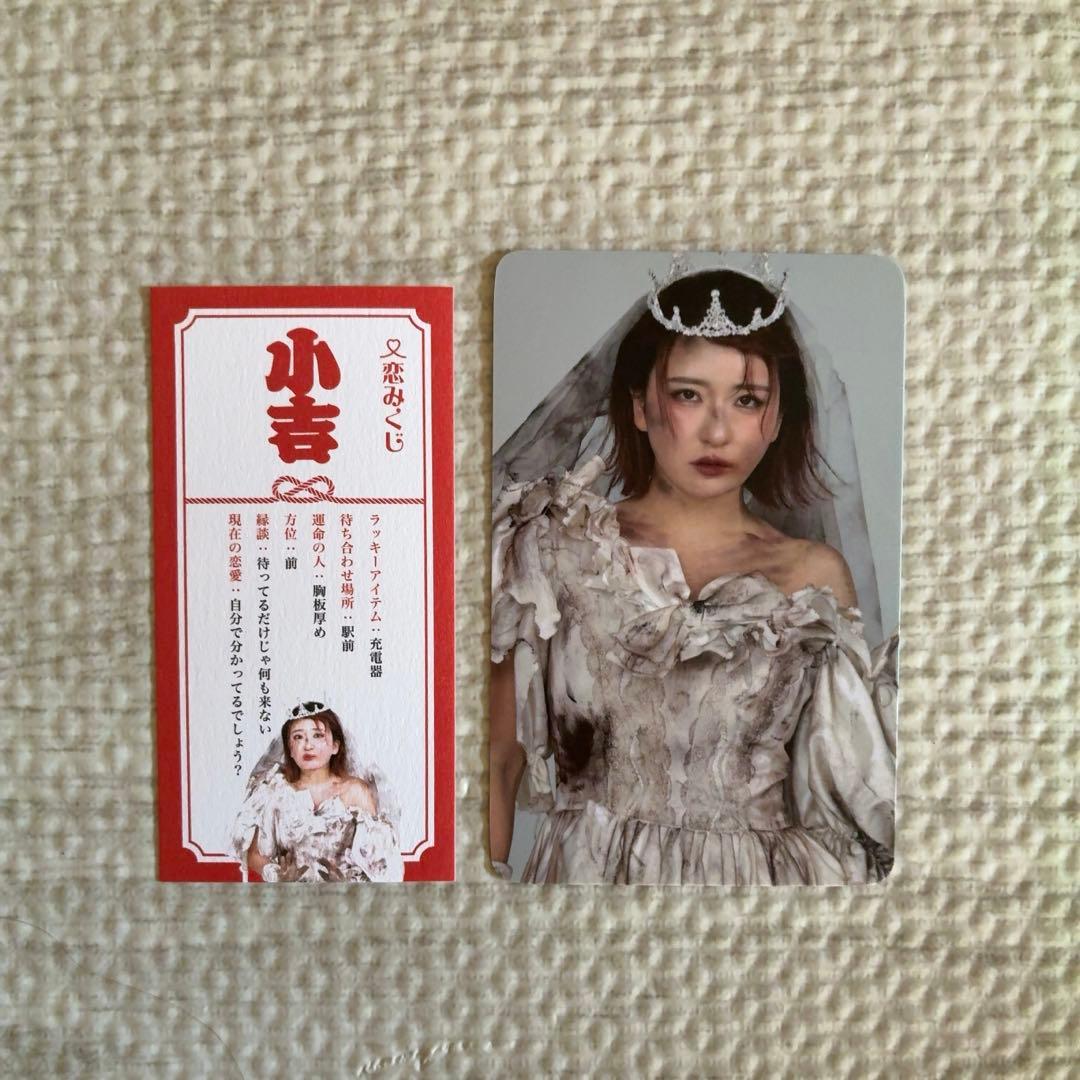 平成フラミンゴ 助け展 入場特典(NICO) - メルカリ